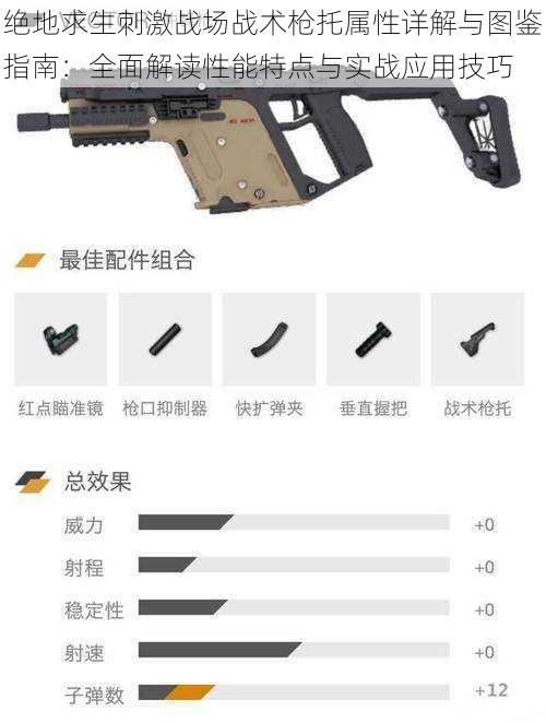 绝地求生刺激战场战术枪托属性详解与图鉴指南:全面解读性能特点与实战应用技巧