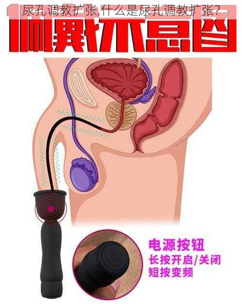 尿孔调教扩张,什么是尿孔调教扩张?