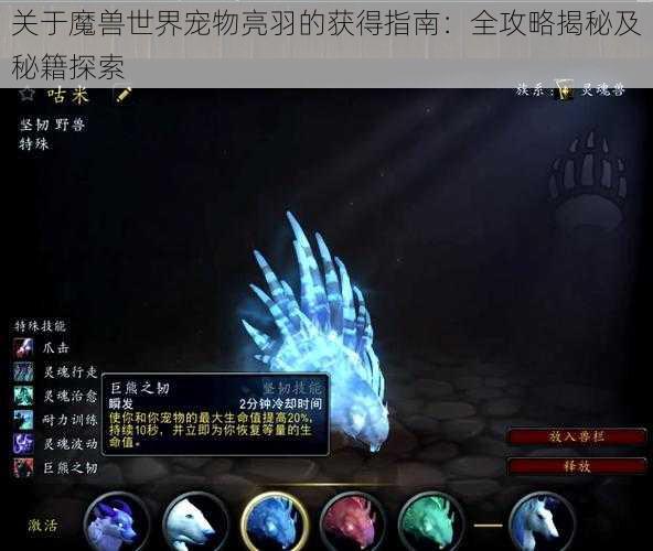 关于魔兽世界宠物亮羽的获得指南:全攻略揭秘及秘籍探索
