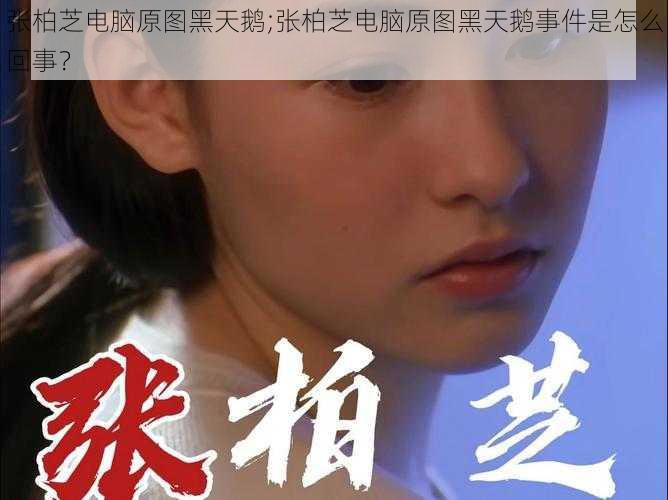 张柏芝电脑原图黑天鹅;张柏芝电脑原图黑天鹅事件是怎么回事?