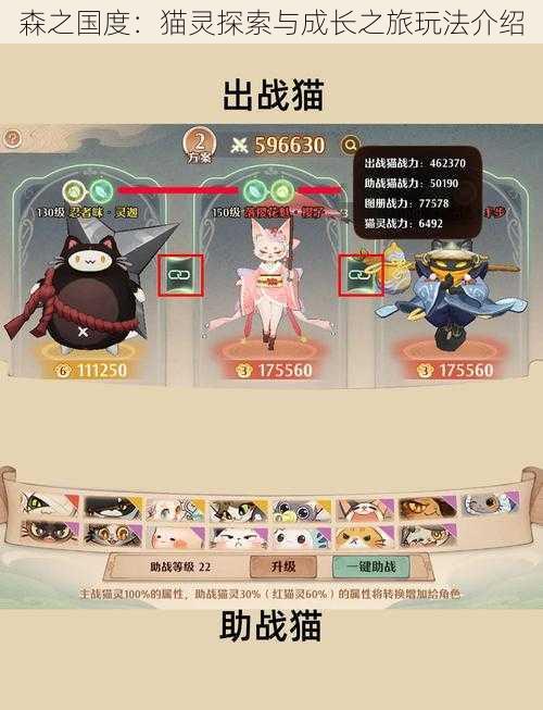 森之国度:猫灵探索与成长之旅玩法介绍