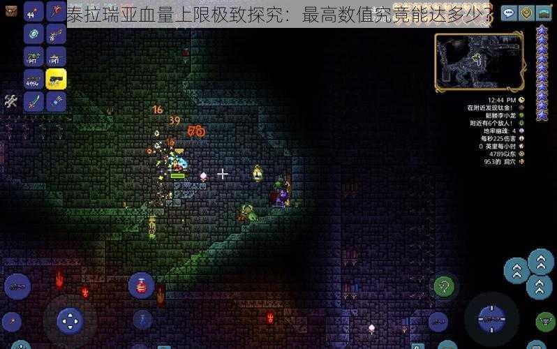 泰拉瑞亚血量上限极致探究:最高数值究竟能达多少?