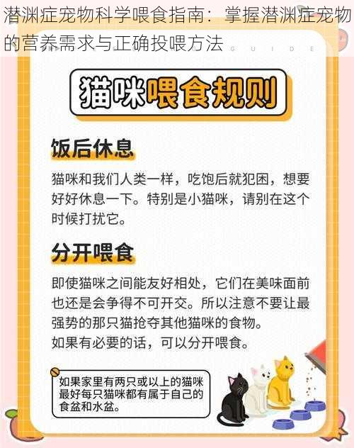 潜渊症宠物科学喂食指南:掌握潜渊症宠物的营养需求与正确投喂方法
