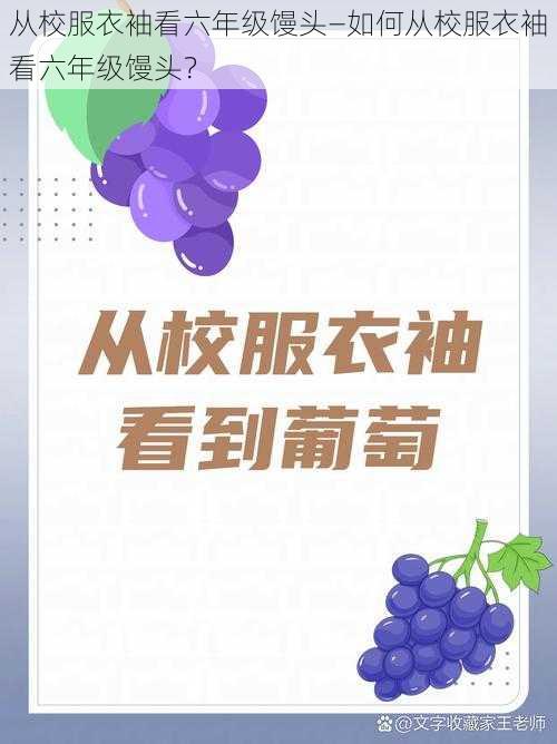 从校服衣袖看六年级馒头—如何从校服衣袖看六年级馒头?