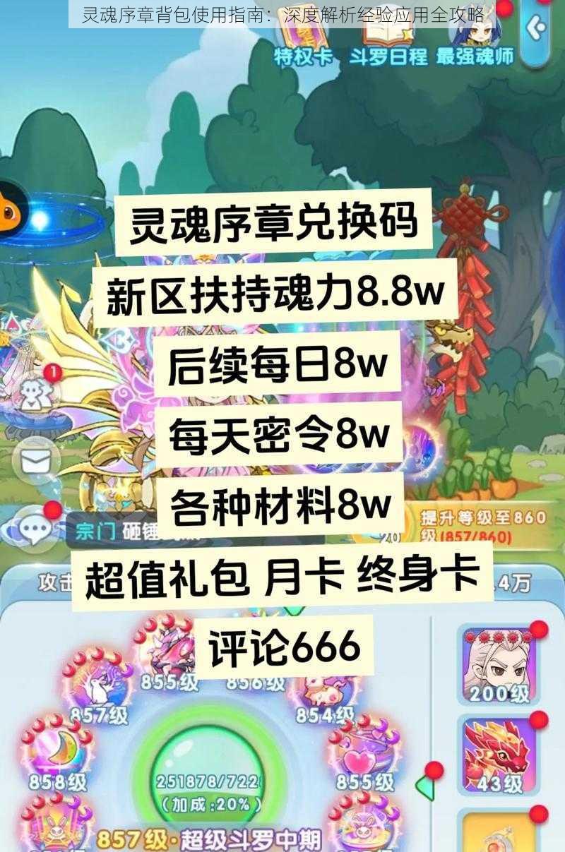 灵魂序章背包使用指南:深度解析经验应用全攻略