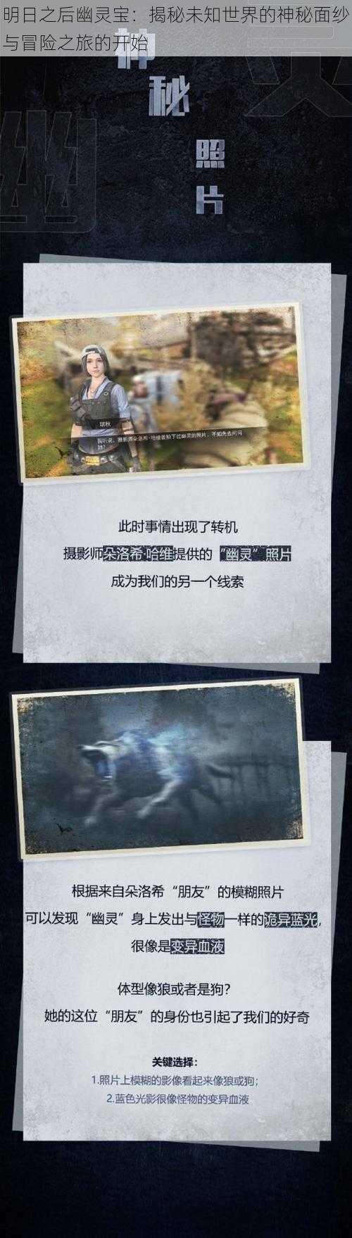 明日之后幽灵宝:揭秘未知世界的神秘面纱与冒险之旅的开始