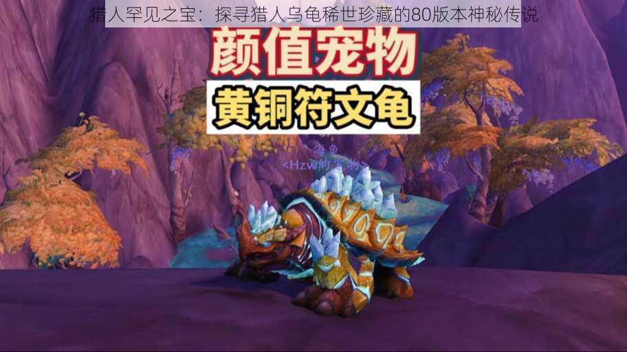 猎人罕见之宝：探寻猎人乌龟稀世珍藏的80版本神秘传说
