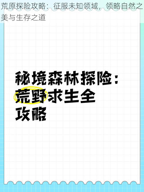 荒原探险攻略:征服未知领域,领略自然之美与生存之道