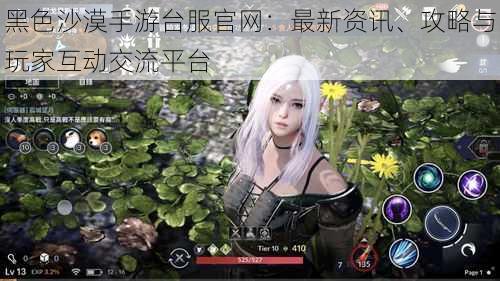 黑色沙漠手游台服官网:最新资讯、攻略与玩家互动交流平台
