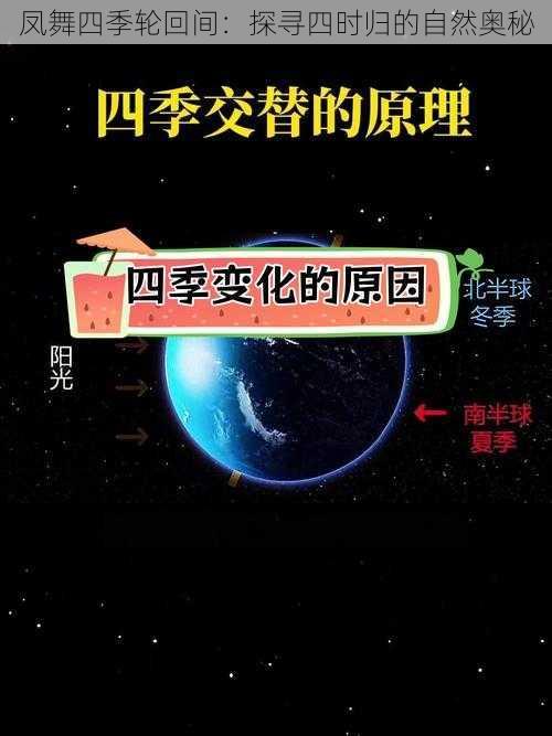 凤舞四季轮回间:探寻四时归的自然奥秘