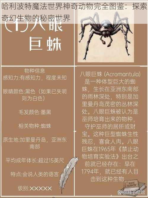 哈利波特魔法世界神奇动物完全图鉴:探索奇幻生物的秘密世界