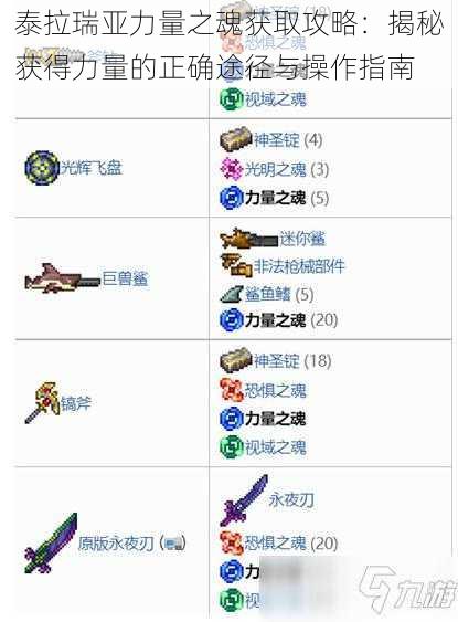 泰拉瑞亚力量之魂获取攻略:揭秘获得力量的正确途径与操作指南