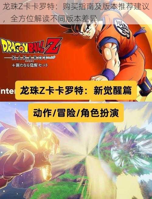 龙珠Z卡卡罗特:购买指南及版本推荐建议,全方位解读不同版本差异