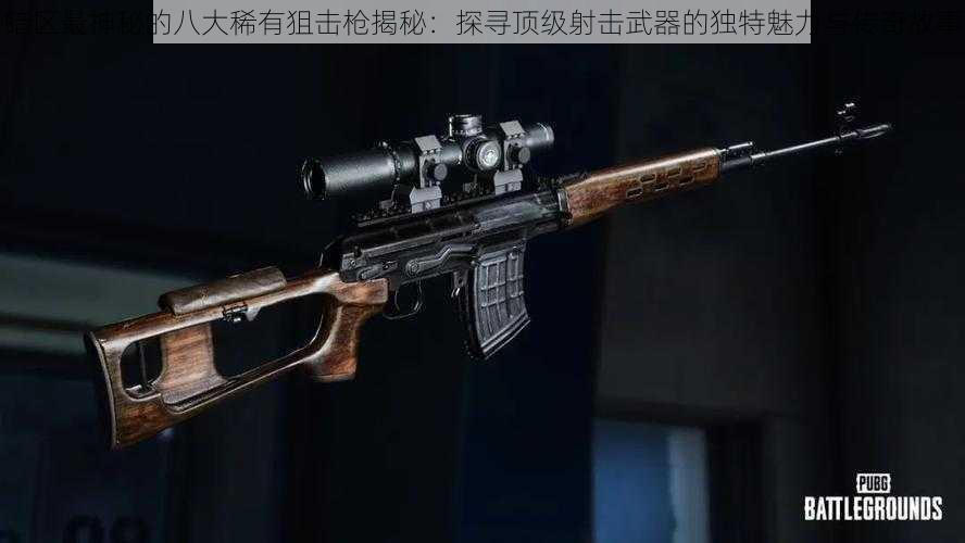 暗区最神秘的八大稀有狙击枪揭秘:探寻顶级射击武器的独特魅力与传奇故事