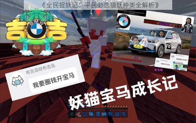 《全民捉妖记:平民必选猫妖种类全解析》