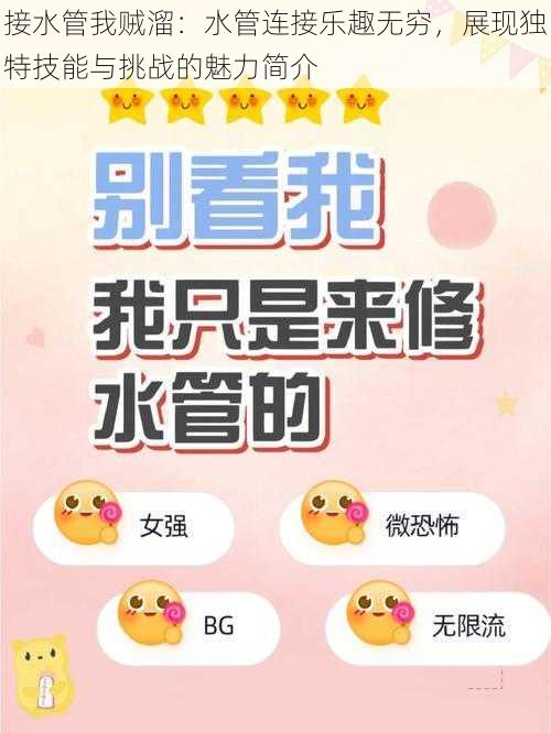 接水管我贼溜:水管连接乐趣无穷,展现独特技能与挑战的魅力简介