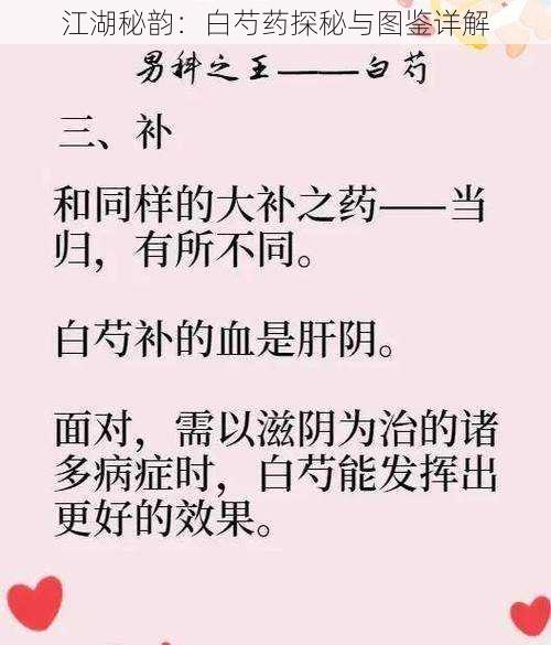 江湖秘韵:白芍药探秘与图鉴详解