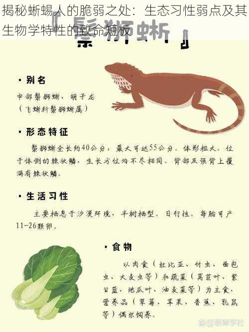 揭秘蜥蜴人的脆弱之处:生态习性弱点及其生物学特性的致命短板