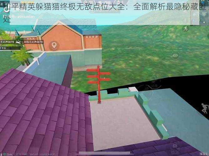 和平精英躲猫猫终极无敌点位大全:全面解析最隐秘藏匿处