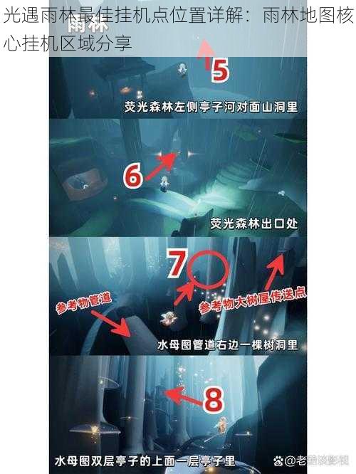 光遇雨林最佳挂机点位置详解:雨林地图核心挂机区域分享