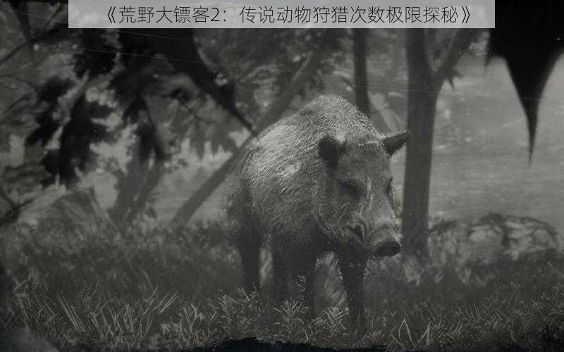 《荒野大镖客2:传说动物狩猎次数极限探秘》