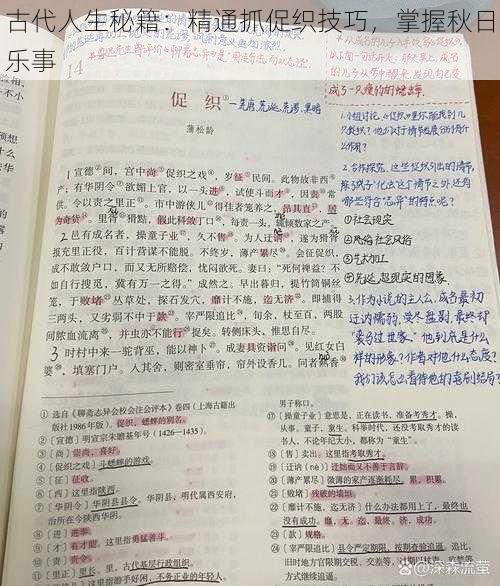 古代人生秘籍:精通抓促织技巧,掌握秋日乐事