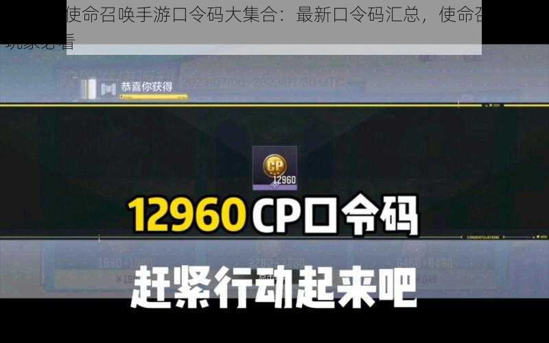 2023年使命召唤手游口令码大集合:最新口令码汇总,使命召唤手游玩家必看