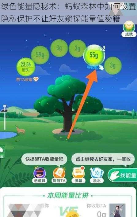 绿色能量隐秘术:蚂蚁森林中如何设置隐私保护不让好友窥探能量值秘籍