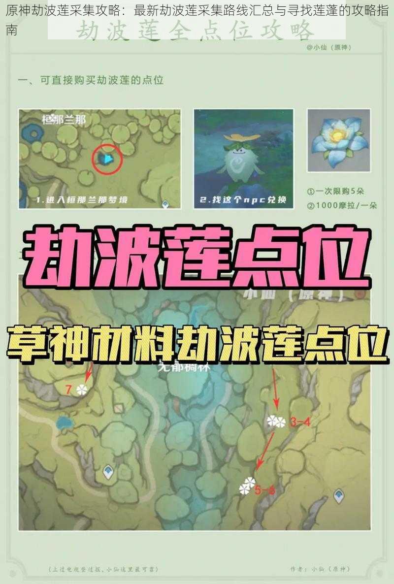 原神劫波莲采集攻略:最新劫波莲采集路线汇总与寻找莲蓬的攻略指南