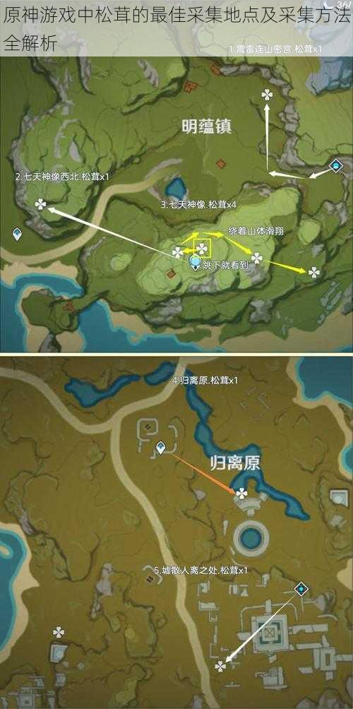 原神游戏中松茸的最佳采集地点及采集方法全解析